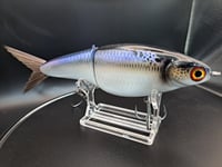 Image 4 of Biggs Custom Baits C-7 colorway # 64