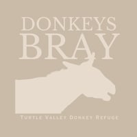 Image 4 of *PRE-ORDER: Sand Storm Bray Adult T-Shirt