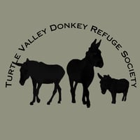 Image 3 of *PRE-ORDER: Wintergreen Sunrise Donkeys Unisex T-Shirt