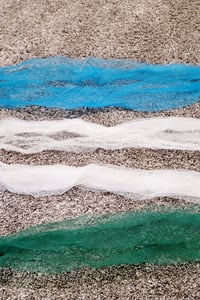 African Net Sponges