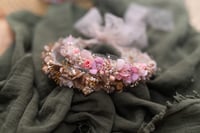 Image 1 of Novelle Halo