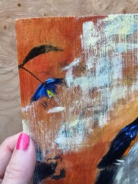 Image 5 of Barn Swallow at Dawn