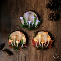 Image 1 of Glowing Fungi wall hanging