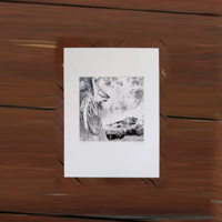 Image 4 of Riverbank