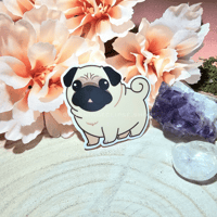 Image 2 of Pug