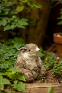 Image 9 of [IN STOCK] Gamusino artdoll -Wild variant #1