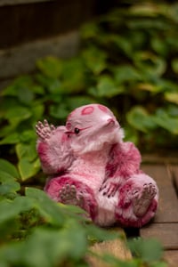 Image 7 of Wild berry animal print gamusino artdoll [IN STOCK]