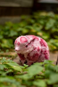 Image 4 of Wild berry animal print gamusino artdoll [IN STOCK]