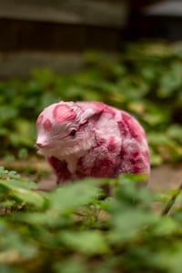 Image 5 of Wild berry animal print gamusino artdoll [IN STOCK]