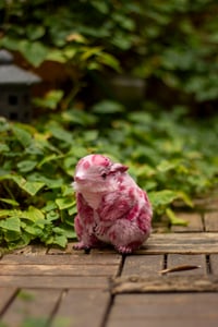 Image 6 of Wild berry animal print gamusino artdoll [IN STOCK]