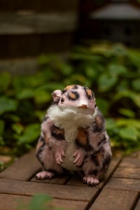 Image 8 of Pink animal print gamusino artdoll [IN STOCK]