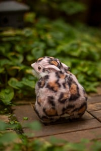 Image 11 of Pink animal print gamusino artdoll [IN STOCK]