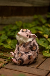 Image 3 of Pink animal print gamusino artdoll [IN STOCK]