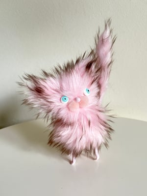 Image of Fluffy Wildcat #6
