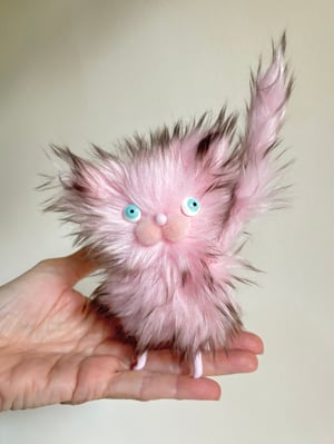 Image of Fluffy Wildcat #6