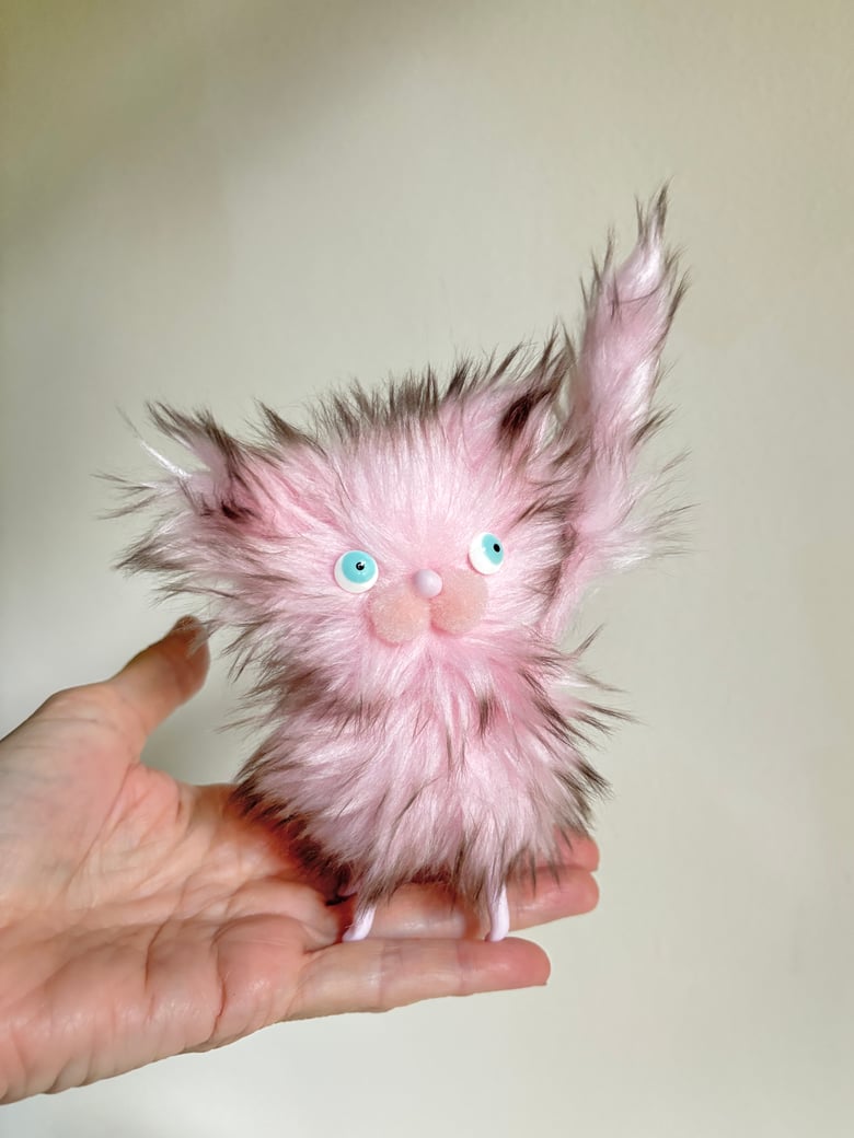 Image of Fluffy Wildcat #6
