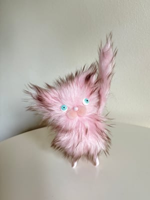 Image of Fluffy Wildcat #6
