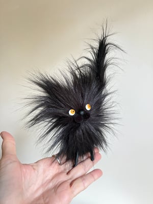 Image of Halloween Wildcat #1
