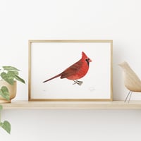 Image 2 of Cardinal