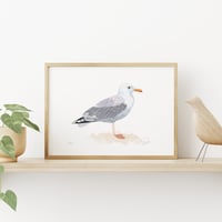 Image 1 of Seagull