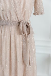 Image 2 of Item 33: Baltic Born Blush Sequin Dress MEDIUM