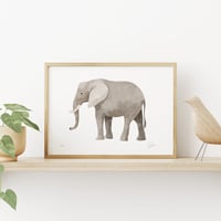 Image 2 of Elephant