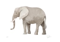 Image 1 of Elephant