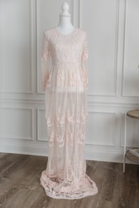Image 1 of Item 39: J&J Sheer Blush Lace Dress MEDIUM