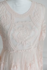 Image 3 of Item 39: J&J Sheer Blush Lace Dress MEDIUM