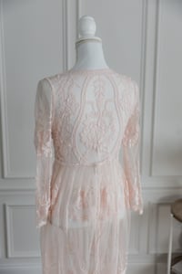 Image 7 of Item 39: J&J Sheer Blush Lace Dress MEDIUM