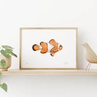 Image 2 of Clownfish