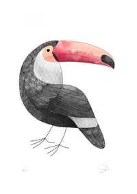 Image 2 of Toucan