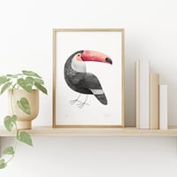 Image 1 of Toucan