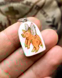 Image 1 of flying pig 