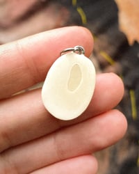 Image 2 of owl (damaged :c)