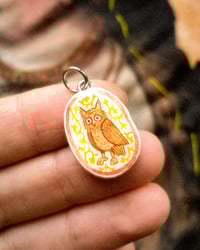 Image 1 of owl (damaged :c)