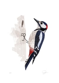 Image 2 of Woodpecker