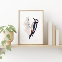 Image 1 of Woodpecker