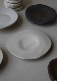 Image 3 of assiette / laiteuse 