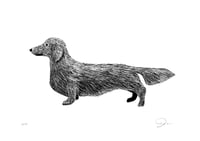Image 1 of Dackel