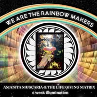 Image 1 of "We Are The Rainbow Makers" AM & the Life Giving Matrix // 6 week course