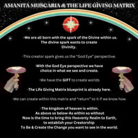 Image 3 of "We Are The Rainbow Makers" AM & the Life Giving Matrix // 6 week course