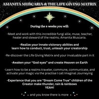 Image 4 of "We Are The Rainbow Makers" AM & the Life Giving Matrix // 6 week course