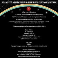 Image 5 of "We Are The Rainbow Makers" AM & the Life Giving Matrix // 6 week course