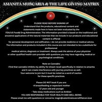 Image 6 of "We Are The Rainbow Makers" AM & the Life Giving Matrix // 6 week course