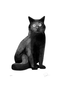 Image 2 of Cat
