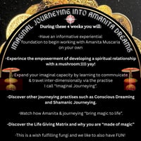 Image 3 of  "You Are Made of Magic"  Imaginal Journeying into AM Dreams //4 week course