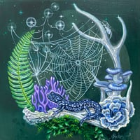 Image 1 of Constellation Weaver
