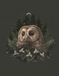 Keepers of the Old Growth
