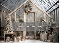 MAGICAL CHRISTMAS MINI SESSIONS - Sunday 23rd November, Bishop's Stortford